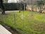 Immagine 29