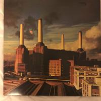 Dischi 33 giri vinile Pink Floid