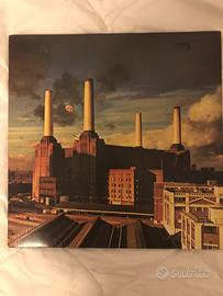 Dischi 33 giri vinile Pink Floid