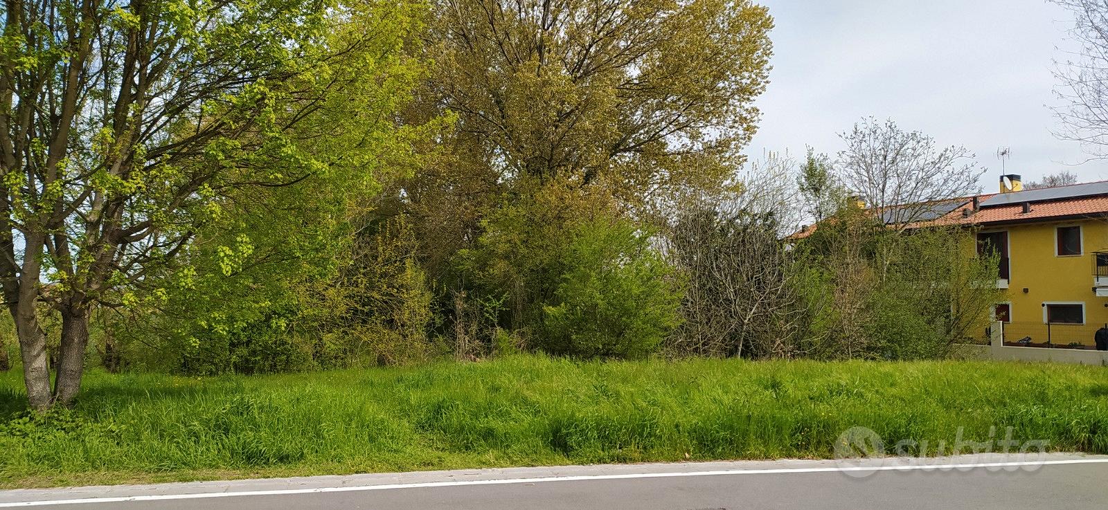 Terreno agricolo fronte strada - Vista 5