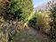Immagine 29