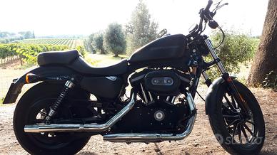 Harley Davidson 883 Iron