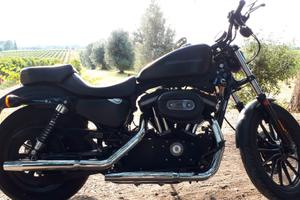 Harley Davidson 883 Iron