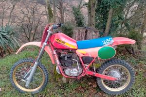 MAICO 1982 cross