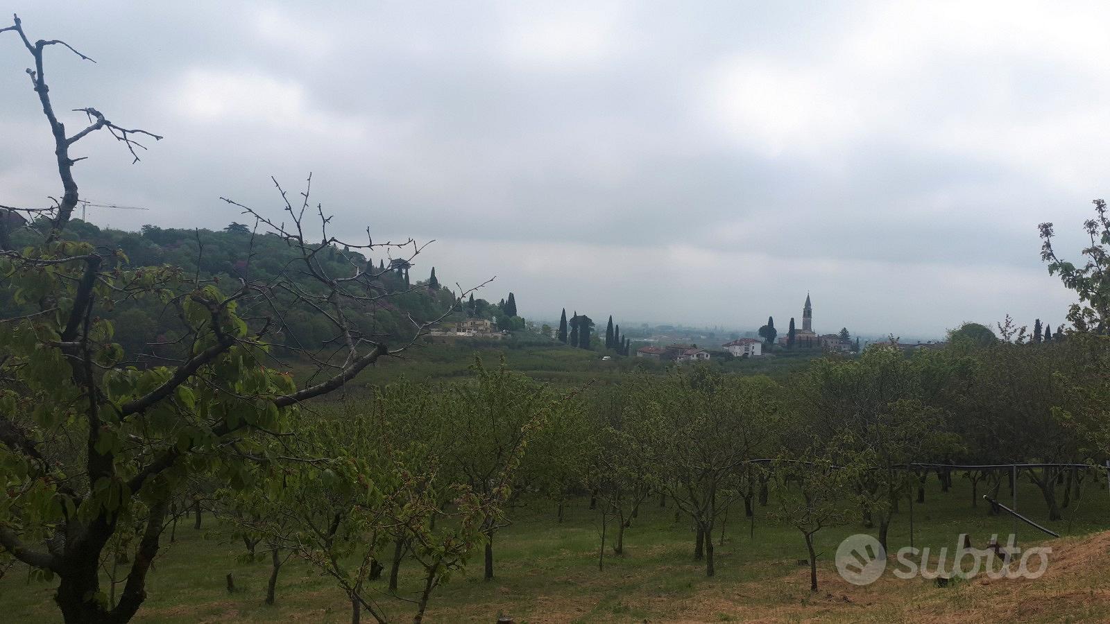 Terreno agricolo - Vista 5
