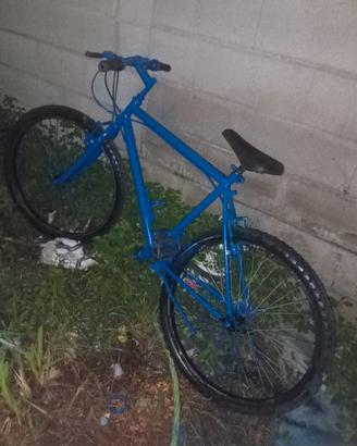 bicicletta 