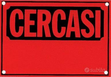 Bilocale arredato Agropoli