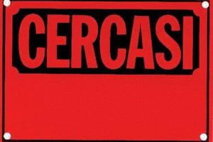 Bilocale arredato Agropoli