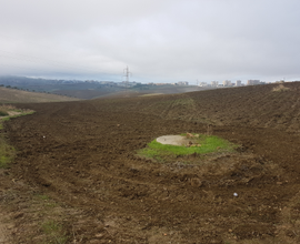 Terreno agricolo Frazione San Michele