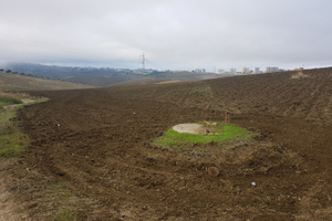 Terreno agricolo Frazione San Michele