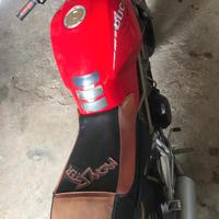 DUCATI MONSTER ROSSA