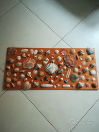 Quadro con conchiglie vere