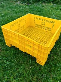 cassone bins per frutta