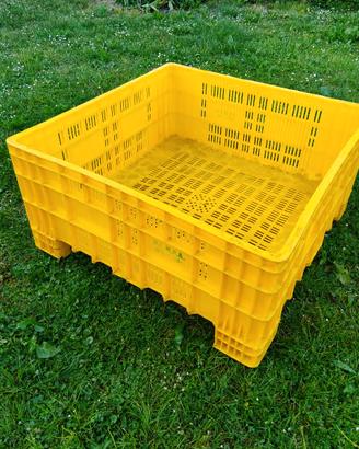 cassone bins per frutta
