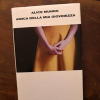 libro Amica della mia giovinezza 