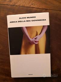 libro Amica della mia giovinezza 