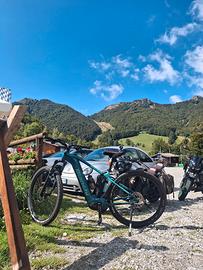 e-bike mtb
