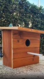 NIDO Esotici con TELECAMERA