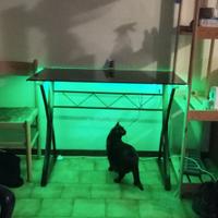 scrivania di vetro con LED aggiunti