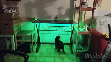 scrivania di vetro con LED aggiunti