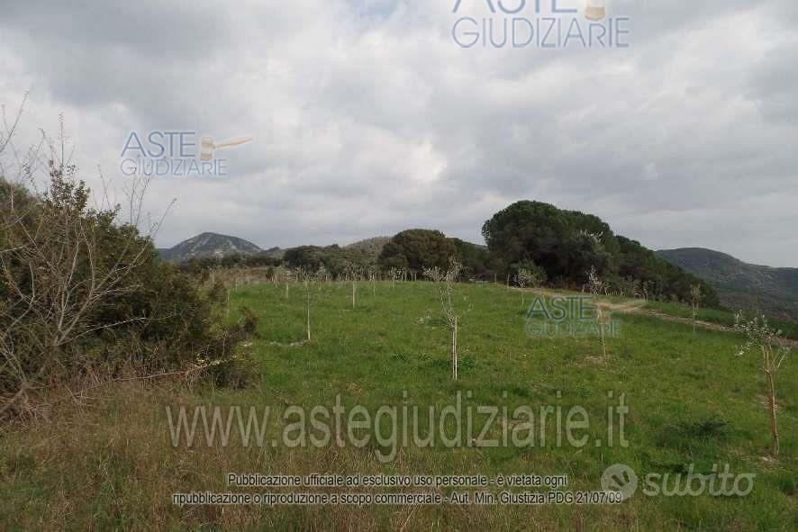 Terreno Agricolo San Vincenzo [A4359763] - Vista 2