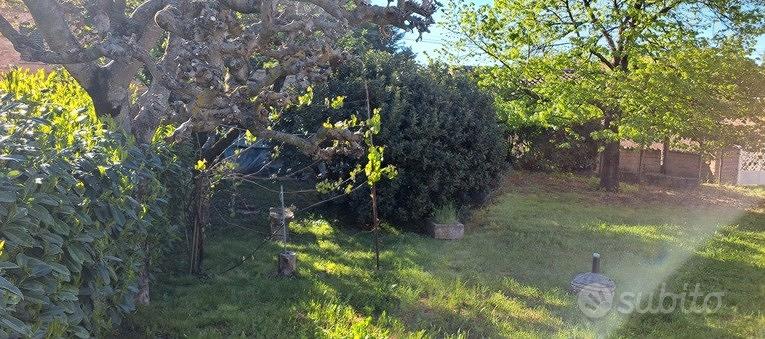 Porzione di terreno ex alveo Fosso S. Marco Gubbio - Vista 4