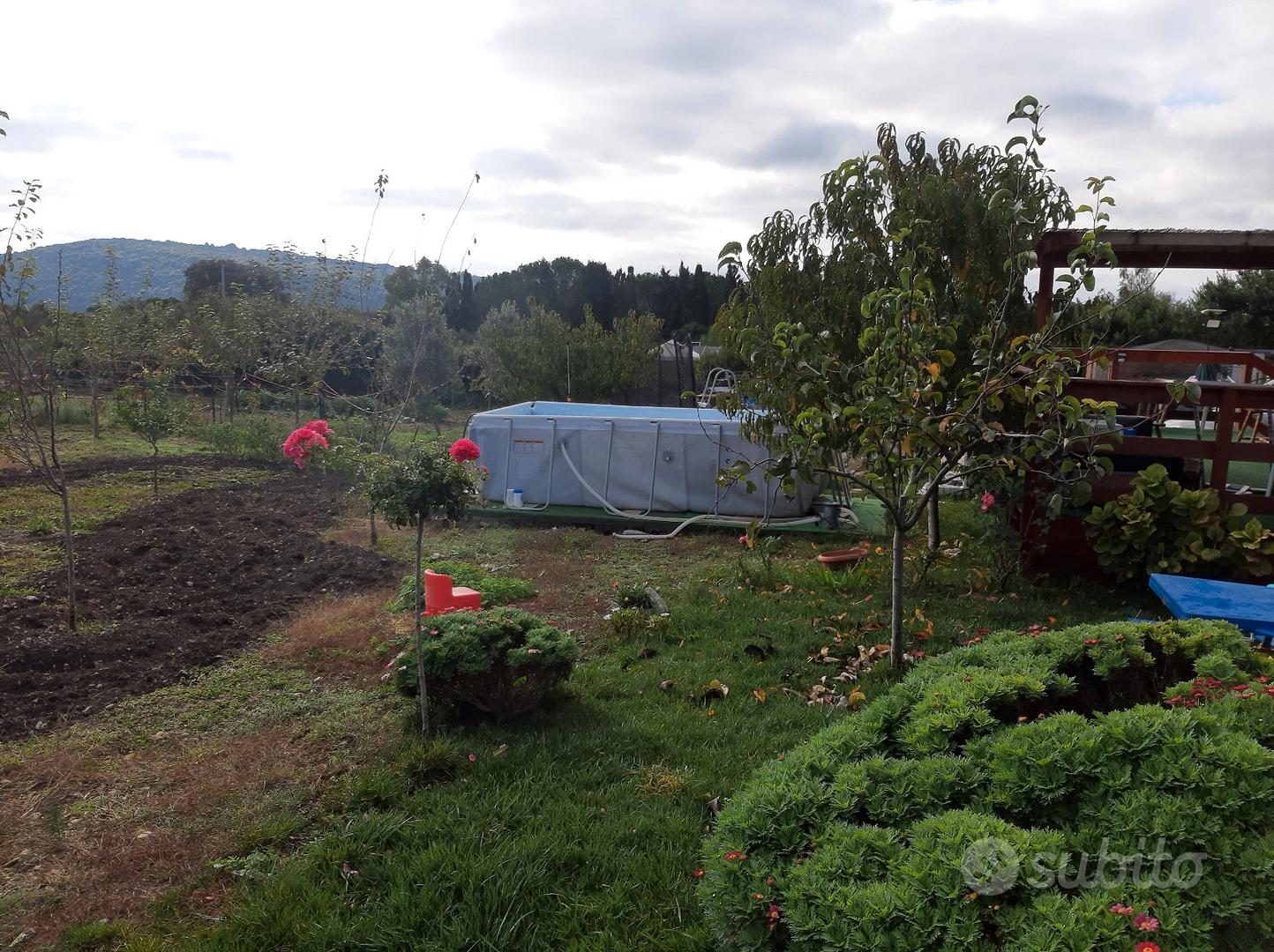 Terreno con frutteto - Vista 5