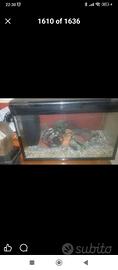 acquario solo pietre e termometro