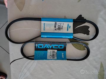 Lotto 2 Cinghie per auto