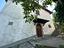 Immagine 19
