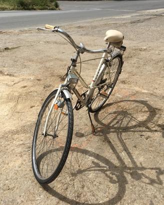 Bicicletta da passeggio