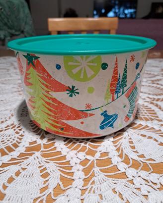contenitore tupperware