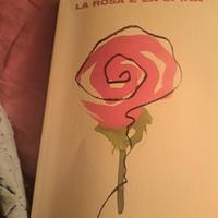La rosa e la spina Stefania Bertola 