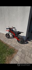 Smembro pit bike 160