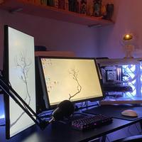 Monitor per Esports da gaming BENQ XL2411P 144HZ