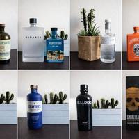 Bottiglie Gin & Liquori - Intero Lotto o Singole