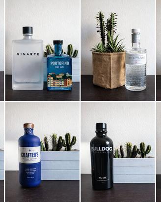 Bottiglie Gin & Liquori - Intero Lotto o Singole