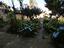 Immagine 5