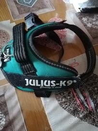 Collare Julius k9