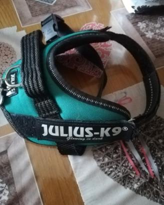 Collare Julius k9