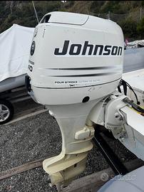 Johnson 40 kw