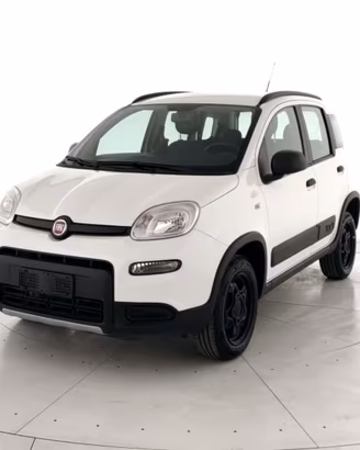 FIAT Panda 1.3 mjt 16v 4x4 s&s 95cv