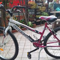 bicicletta ruota 26 per ragazza 12/14  anni