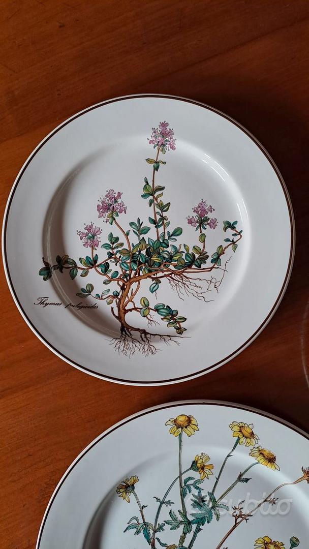 Servizio piatti Villeroy & Boch, serie 'botanica' - Arredamento e Casalinghi  In vendita a Padova