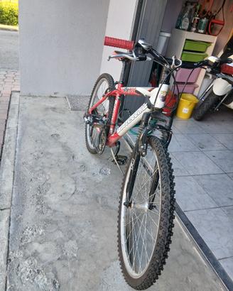 bici Bottecchia FX 5000 uomo ragazzo ruote da 26"