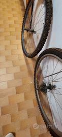 cerchi mtb