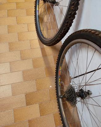 cerchi mtb
