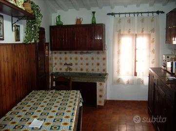 Appartamento rustico