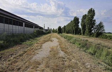 Immobile in asta di 30488 m² a Solesino