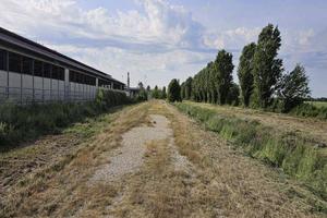Immobile in asta di 30488 m² a Solesino